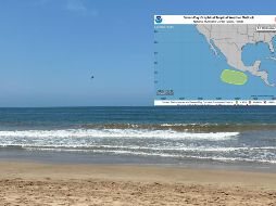 De acuerdo con la predicción del SMN, fuente oficial del Gobierno de México, para la temporada de huracanes 2025 se espera la formación de entre 16 y 20 ciclones en el Pacífico. ESPECIAL, EL INFORMADOR / O. Flores y CANVA