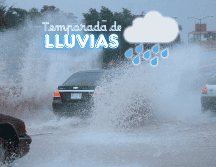 En 2024 el día más lluvioso fue el 20 de junio, con una lámina de 19 mm a nivel nacional.  NTX / ARCHIVO