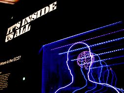 El estudio pone el foco en los denominados 'astrocitos'. UNSPLASH / B. Kavanaugh