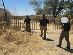 La FGR aseguró un rancho en el municipio de San Juan de los Lagos; además, se detectó el consumo ilegal de fluido eléctrico. ESPECIAL