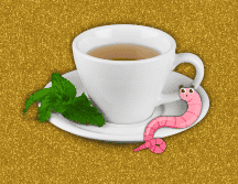 Este té no reemplaza los antiparasitarios médicos como el albendazol, metronidazol o mebendazol. ESPECIAL / CANVA