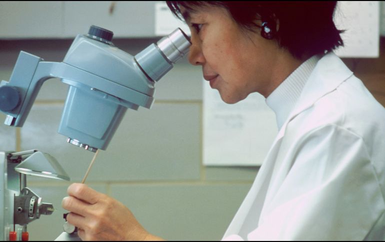 La urgencia de acelerar los procesos regulatorios, para que la innovación beneficie a más personas en menos tiempo, fue uno de los temas centrales del foro.UNSPLASH / National Cancer Institute