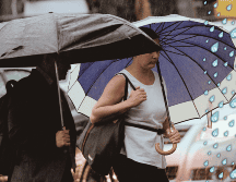 Las lluvias fuertes a puntuales muy fuertes podrían generar encharcamientos, inundaciones y deslaves. NTX / ARCHIVO