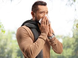 La fiebre del heno es una reacción alérgica del organismo a sustancias presentes en el aire, principalmente el polen de árboles, pastos o flores, pero también puede deberse al polvo, el moho o la caspa de animales.  CANVA