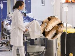 Las personas infectadas más joven tiene 44 años, y la más longeva tiene 86 años. SUN / ARCHIVO