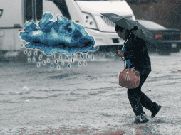 De acuerdo con la estadística, en septiembre se desarrollan más ciclones, en el Pacífico y en el Atlántico, seguido de octubre. EFE / ARCHIVO