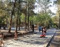 Invitan a la ciudadanía también a que acuda a los bosques urbanos de la metrópoli para pasar tiempo familiar, pero piden que no tiren basura en los parques. EL INFORMADOR / ARCHIVO