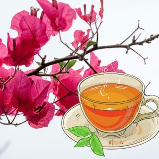 Esta infusión de bugambilia ayuda al malestar de garganta