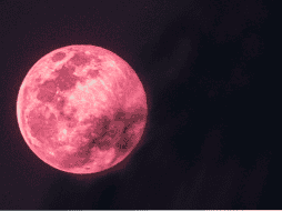 Recuerda que la Luna de fresa no se pintará de color rosa. Unsplash.