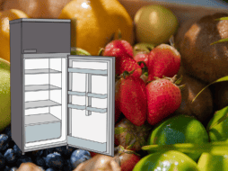 Antes de decidir meter las frutas al refrigerador, es necesario tener en cuenta sus características. ESPECIAL