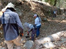 Como parte de los trabajos, el viernes 30 se repartieron cédulas de búsqueda de personas desaparecidas en la delegación Las Palmas. ESPECIAL