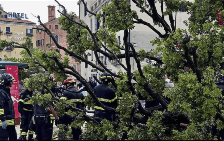 El árbol, un roble, cayó sobre un grupo de personas que aguardaban en un área con sombra en Piazzale Roma. AP