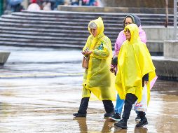 Lo ideal es considerar el entorno y las condiciones del clima para elegir el método de protección más conveniente. EL INFORMADOR/ ARCHIVO.