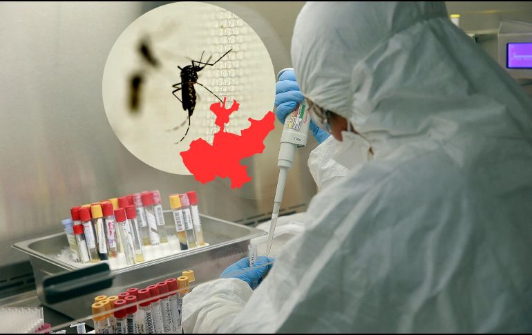 El secretario de Salud, David Kershenobich, dice que Jalisco encabeza la lista de casos de dengue en 2025, y es seguido por Veracruz, Michoacán, Guerrero y Tamaulipas. ESPECIAL / EL INFORMADOR y NTX