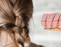 Sigue estos sencillos pasos para evitar la pérdida de cabello. UNSPLASH / T. BELLIS