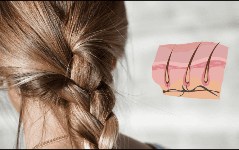 Sigue estos sencillos pasos para evitar la pérdida de cabello. UNSPLASH / T. BELLIS