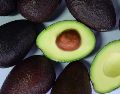 El aguacate es una fruta originaria de Mesoamérica, principalmente del centro de México y algunas zonas altas de Guatemala. Canva/ESPECIAL