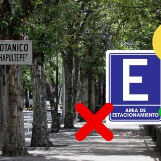 Alertan sobre falsos valet parking en el Bosque de Chapultepec