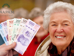 Una vez obtenida, la credencial puede utilizarse en diferentes rubros como alimentación, salud, asesoría legal, transporte, farmacias, artículos del hogar, restaurantes, cultura, ropa y servicios públicos (como el agua o el predial). INAPAM