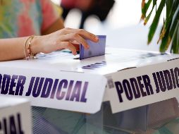 De acuerdo a especialistas los principales damnificados de la jornada electoral del pasado domingo serán los ciudadanos y el INE. EL INFORMADOR/ H. Figueroa