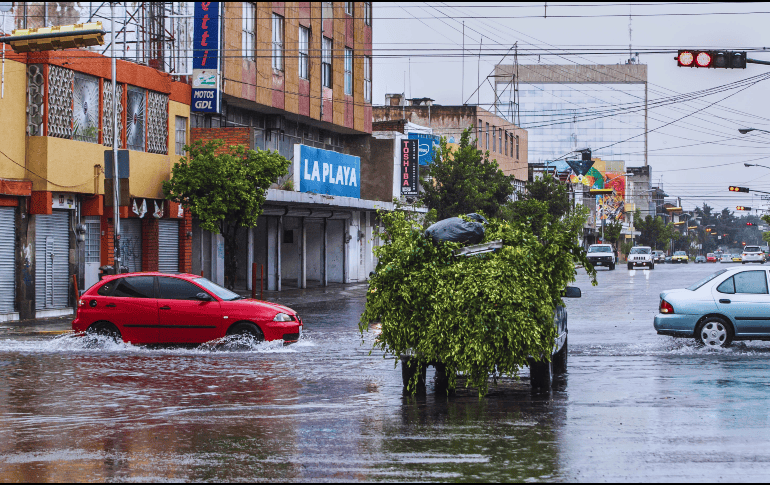 Antes de salir a manejar por las calles, es fundamental realizar una revisión básica de tu auto. EL INFORMADOR / ARCHIVO