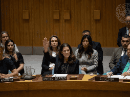 Estados Unidos veta una resolución para propiciar la ayuda humanitaria en Gaza
. EFE/M. Garten.