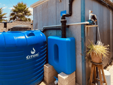 Estos son los pasos y requisitos para adquirir un Nido de Lluvia. X / @EnriqueAlfaroR