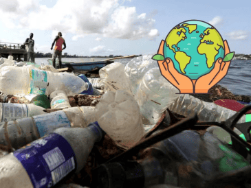 Por esta razón se celebra el Día Mundial del Medio Ambiente el 5 de junio. EFE / ARCHIVO