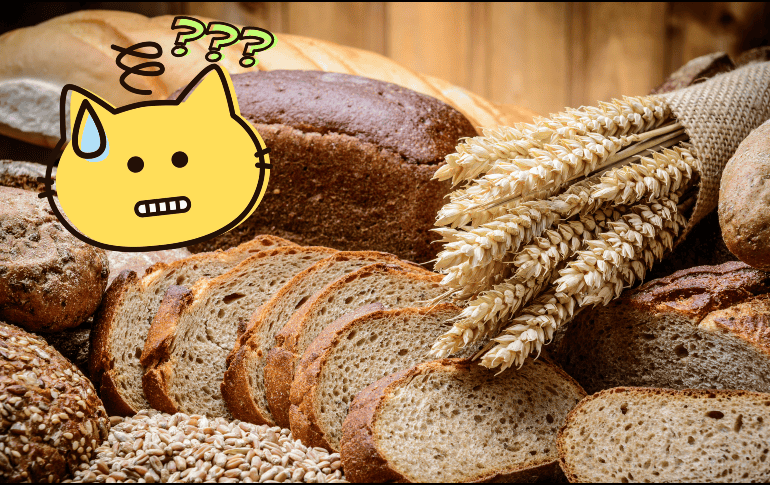 Es fundamental revisar la etiqueta antes de comprar, ya que no todos los panes que se comercializan como “multicereal” son saludables. ESPECIAL / Canva