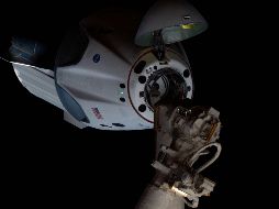 Musk da de baja a la aeronave Dragon en medio de amenazas de Trump a SpaceX. EFE/NASA.