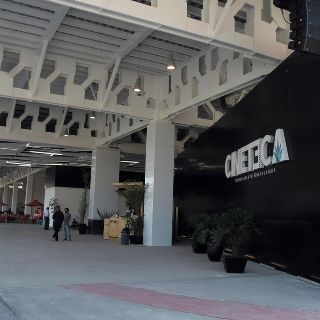 Conoce las películas que se proyectarán GRATIS en Guadalajara por el FICG