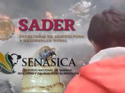 Una avioneta que combatía la plaga del gusano barrenador cayó provocando la muerte de tres personas. ESPECIAL