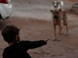 ¿Qué beneficios tiene para la salud del niño? UNSPLASH / Z. Ahmadpour