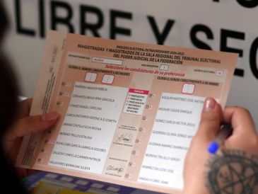 Las solicitudes fueron planteadas por Dora Alicia Martínez Valero, Melissa Peláez Badilla y Yajaira Arellano Morales. EFE/F. Guasco