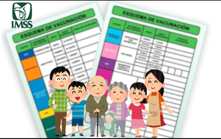 Es fundamental completar todos los esquemas de vacunación para prevenir enfermedades y proteger la salud. IMSS