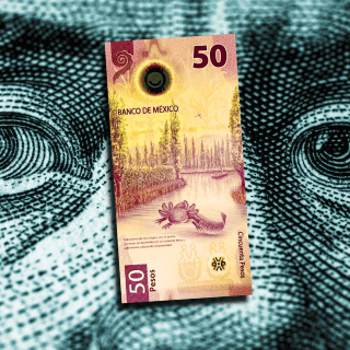 El peso abre con LIGERO tropiezo frente al dólar tras buen día ayer