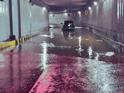 Las autoridades de Protección Civil y Bomberos atendieron los reportes desde las primeras horas del día. ESPECIAL / Protección Civil y Bomberos Zapopan