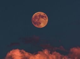 La Luna de Fresa es una luna llena que alcanza su máximo esplendor. UNSPLASH.