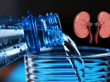 El agua mineral puede formar parte de una dieta saludable y no daña los riñones si se consume con moderación, especialmente en personas sin enfermedades crónicas. CANVA