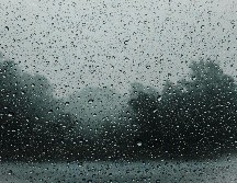 La tormenta provocó caída de varios árboles, inundaciones en Plaza del Sol, vehículos arrastrados, semáforos sin funcionar y anuncios espectaculares a punto de caer. Unsplash.