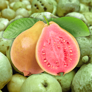 ¿Cuáles son los beneficios de comer guayaba?