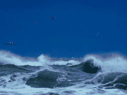 La tormenta tropical “Dalila” ocasionará lluvias muy fuertes en Jalisco, Colima y Nayarit. UNSPLASH / B. Bailey