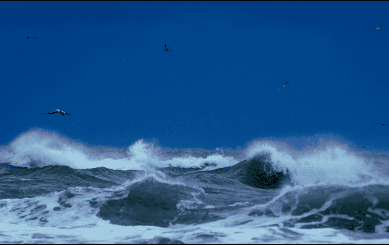 La tormenta tropical “Dalila” ocasionará lluvias muy fuertes en Jalisco, Colima y Nayarit. UNSPLASH / B. Bailey