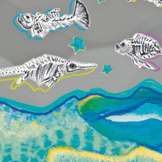 La vida en México comienza en el mar