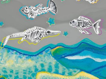 En las zonas montañosas es posible encontrar fósiles que dan cuenta de que algún día nuestro territorio estuvo bajo el océano. CORTESÍA/sopita.de.dinosaurios