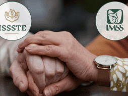 Se recomienda a los beneficiarios estar atentos a sus cuentas y consultar los canales oficiales. CANVA