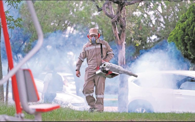 Se tienen que evitar los potenciales criaderos del mosquito. ESPECIAL