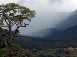 En México, el verano es la estación del año en la que se registran la mayor cantidad de lluvias, pero vale la pena mencionar que es cuando se puede presentar el fenómeno conocido como 