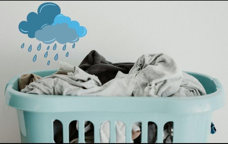 Con lavado y secado se asegura la eliminación de bacterias y hongos. UNSPLASH / A. SPRATT