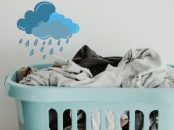 Con lavado y secado se asegura la eliminación de bacterias y hongos. UNSPLASH / A. SPRATT